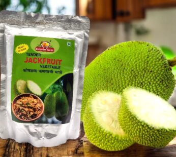 TENDER JACKFRUIT VEGETABLE-500GM`